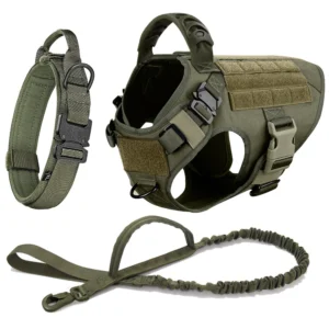 Large Dog Harness Collar Leash Set