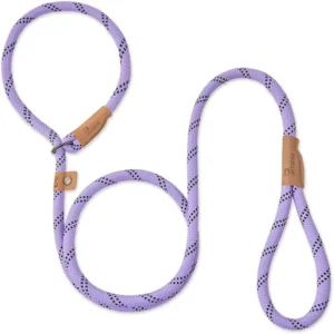 5 FT Heavy Duty Slip Lead Dog Leash for Small Medium and Large Dogs