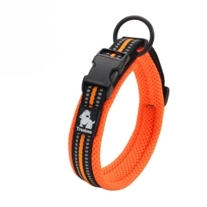 Winhyepet Dog Walking Collar